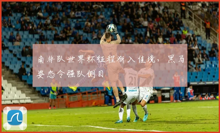 南非队世界杯征程渐入佳境，黑马姿态令强队侧目